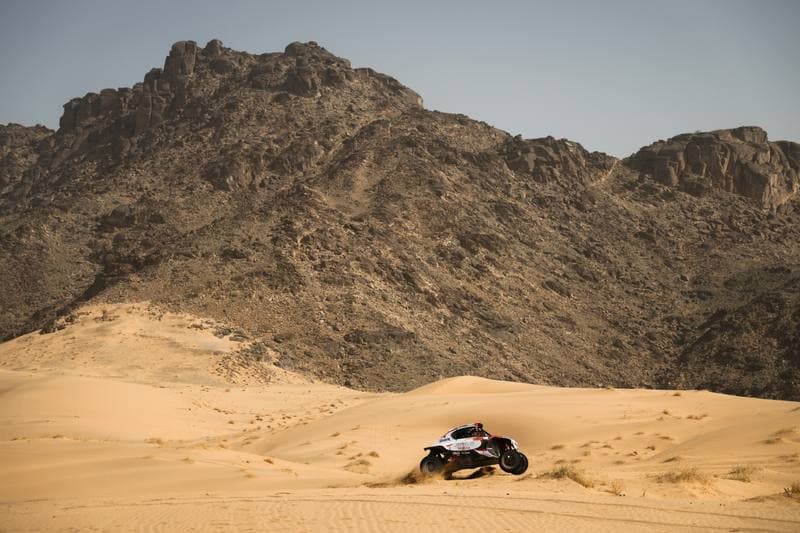 Motorsport. Dakar Rally. Stage 12. 16.01.2026