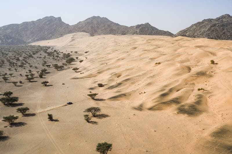 Motorsport. Dakar Rally. Stage 12. 16.01.2026