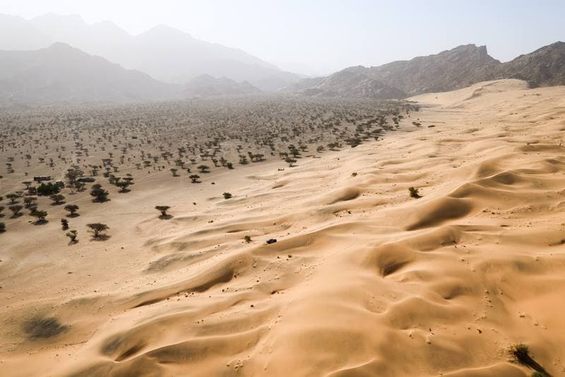 Motorsport. Dakar Rally. Stage 12. 16.01.2026