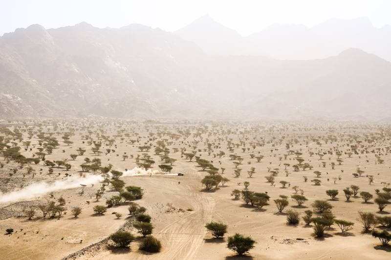 Motorsport. Dakar Rally. Stage 12. 16.01.2026