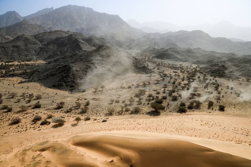 Motorsport. Dakar Rally. Stage 12. 16.01.2026