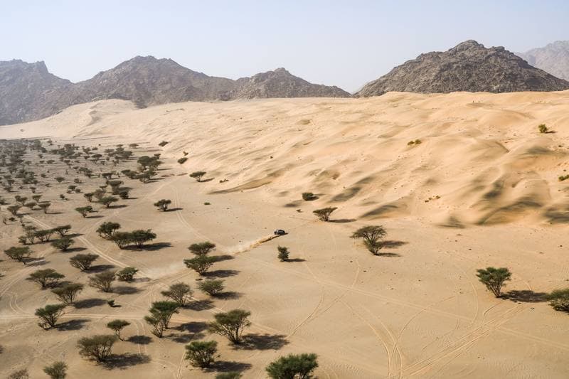 Motorsport. Dakar Rally. Stage 12. 16.01.2026