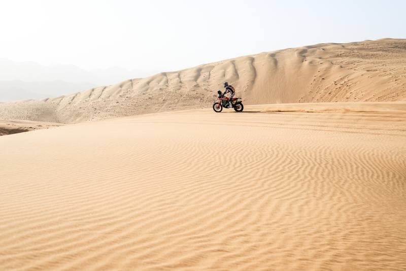 Motorsport. Dakar Rally. Stage 12. 16.01.2026
