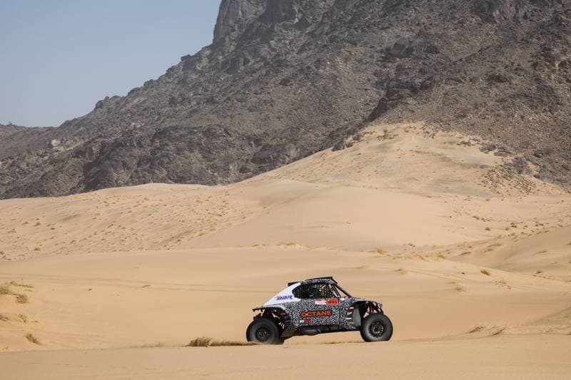 Motorsport. Dakar Rally. Stage 12. 16.01.2026