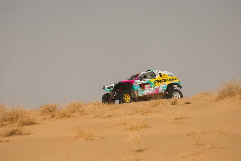 Motorsport. Dakar Rally. Stage 12. 16.01.2026