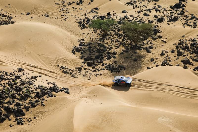 Motorsport. Dakar Rally. Stage 12. 16.01.2026