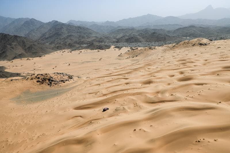 Motorsport. Dakar Rally. Stage 12. 16.01.2026