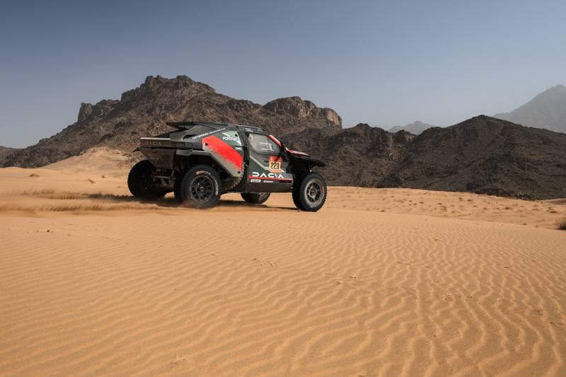 Motorsport. Dakar Rally. Stage 12. 16.01.2026