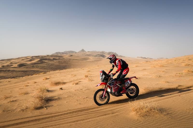 Motorsport. Dakar Rally. Stage 12. 16.01.2026