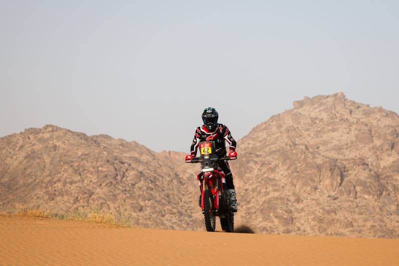 Motorsport. Dakar Rally. Stage 12. 16.01.2026