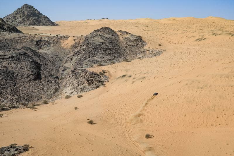 Motorsport. Dakar Rally. Stage 12. 16.01.2026
