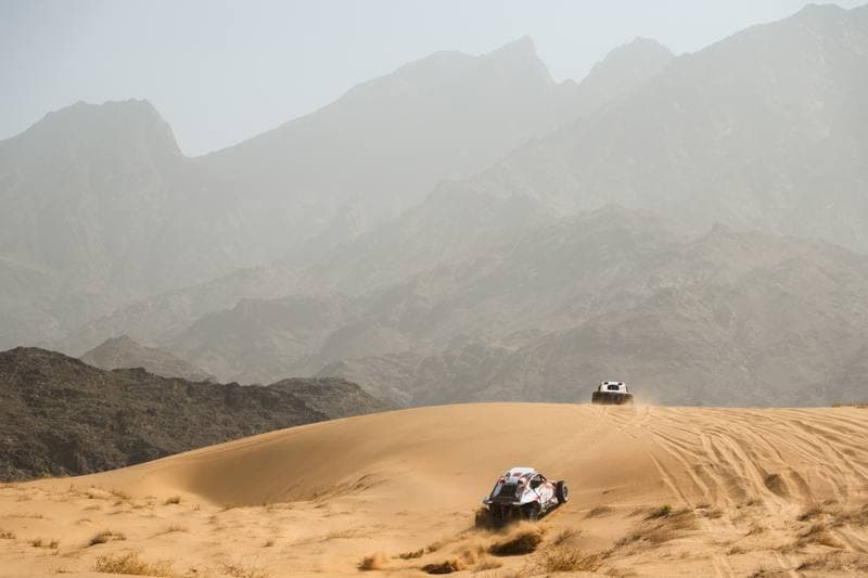 Motorsport. Dakar Rally. Stage 12. 16.01.2026
