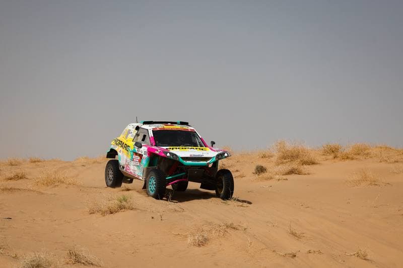 Motorsport. Dakar Rally. Stage 12. 16.01.2026