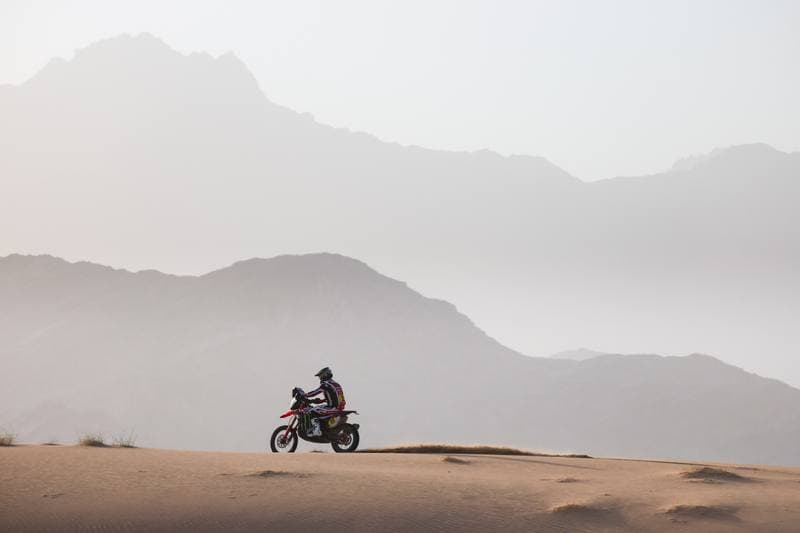 Motorsport. Dakar Rally. Stage 12. 16.01.2026