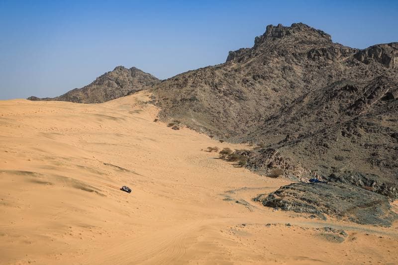 Motorsport. Dakar Rally. Stage 12. 16.01.2026
