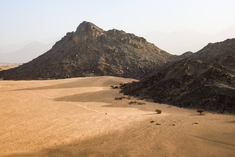 Motorsport. Dakar Rally. Stage 12. 16.01.2026