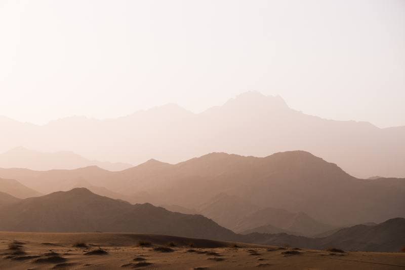 Motorsport. Dakar Rally. Stage 12. 16.01.2026