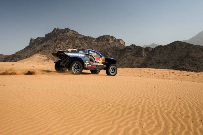 Motorsport. Dakar Rally. Stage 12. 16.01.2026