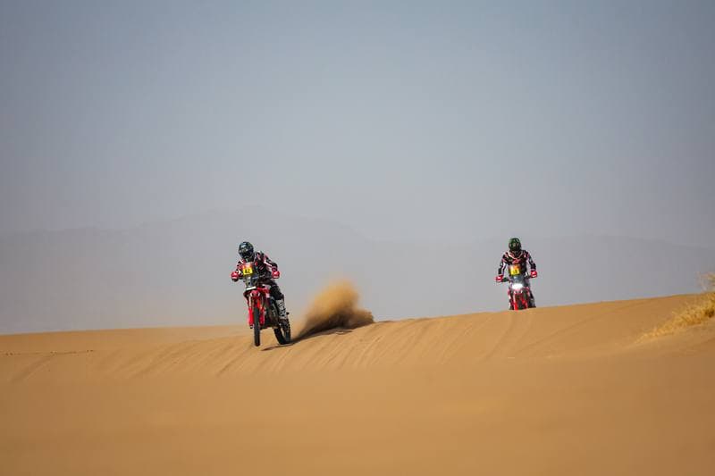 Motorsport. Dakar Rally. Stage 12. 16.01.2026