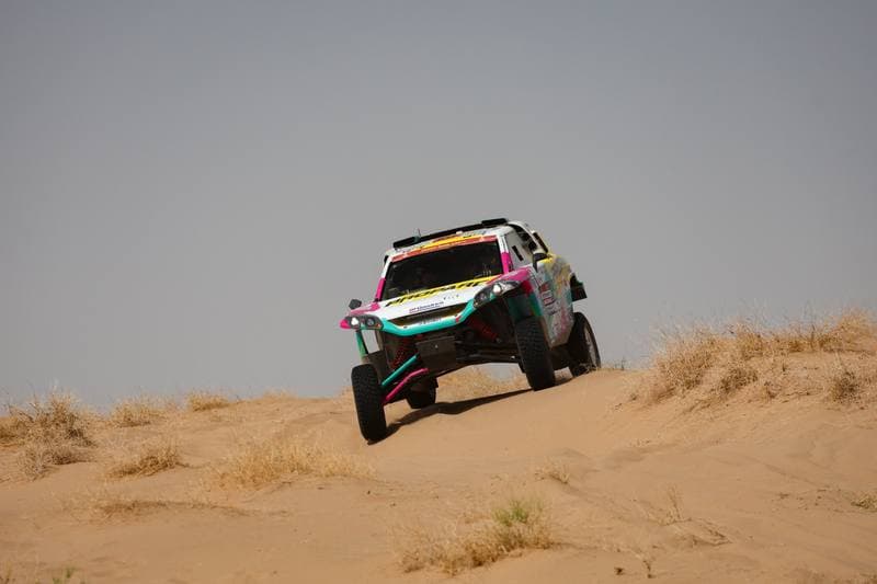 Motorsport. Dakar Rally. Stage 12. 16.01.2026