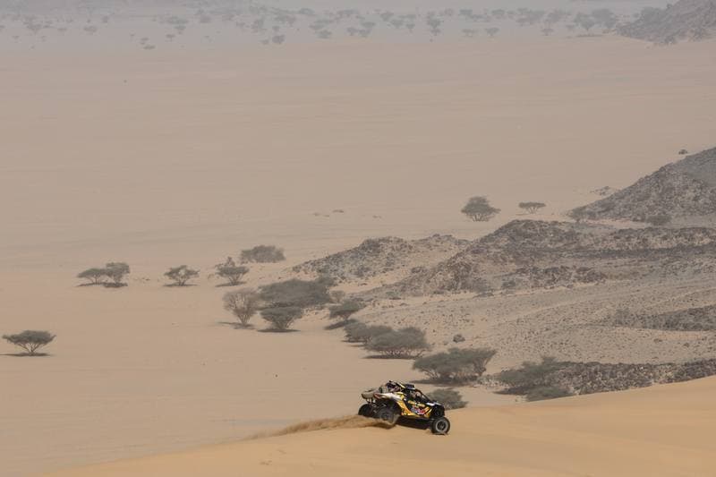 Motorsport. Dakar Rally. Stage 12. 16.01.2026