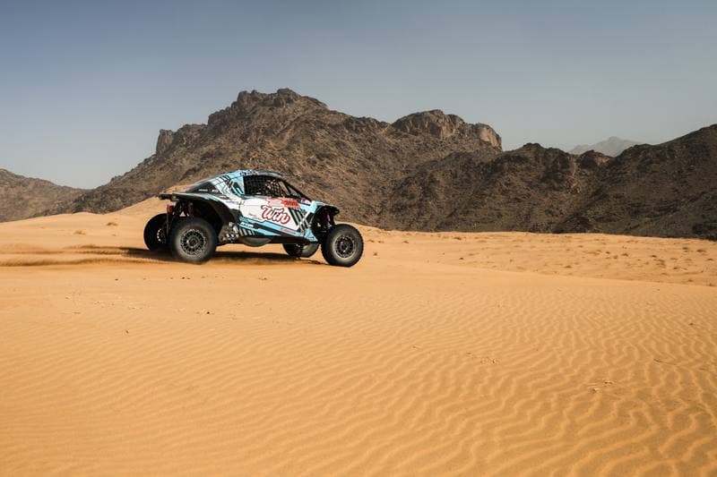 Motorsport. Dakar Rally. Stage 12. 16.01.2026