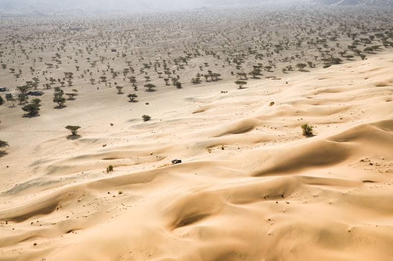 Motorsport. Dakar Rally. Stage 12. 16.01.2026