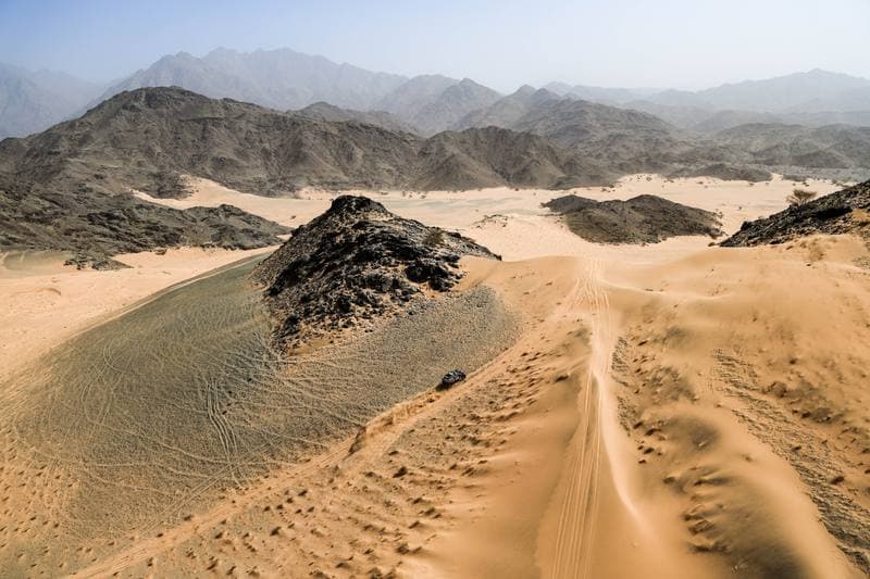 Motorsport. Dakar Rally. Stage 12. 16.01.2026