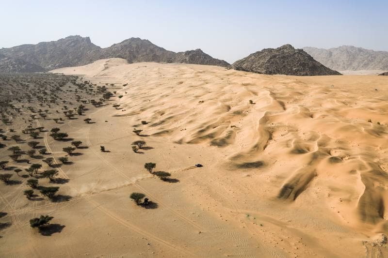 Motorsport. Dakar Rally. Stage 12. 16.01.2026