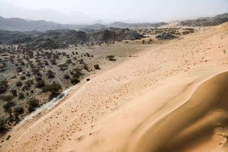 Motorsport. Dakar Rally. Stage 12. 16.01.2026