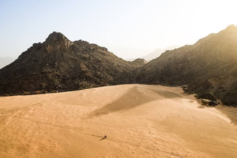 Motorsport. Dakar Rally. Stage 12. 16.01.2026
