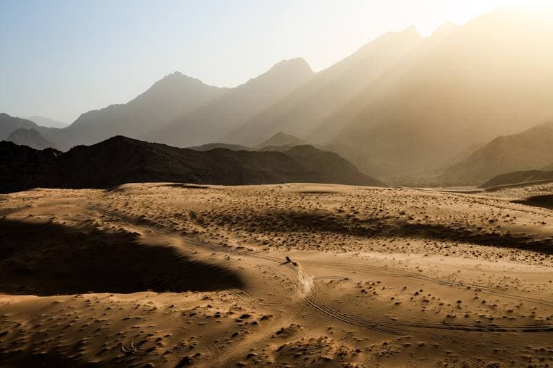 Motorsport. Dakar Rally. Stage 12. 16.01.2026