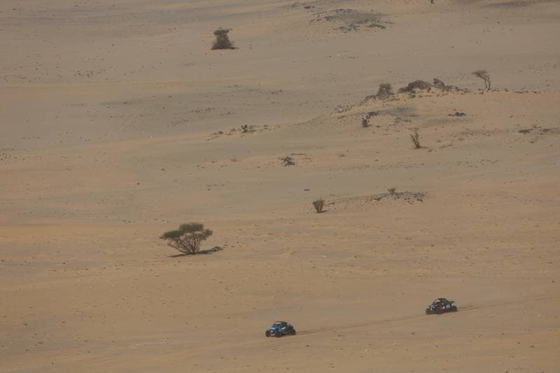 Motorsport. Dakar Rally. Stage 12. 16.01.2026