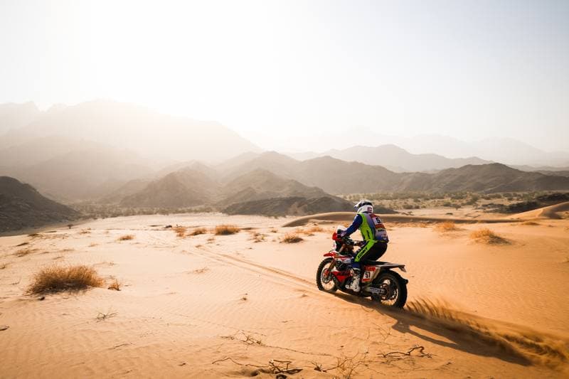 Motorsport. Dakar Rally. Stage 12. 16.01.2026