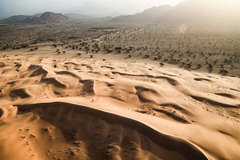 Motorsport. Dakar Rally. Stage 12. 16.01.2026