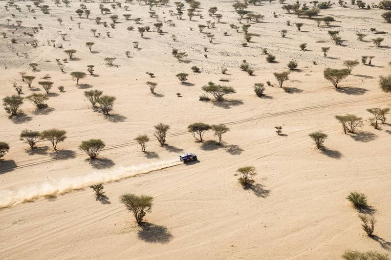 Motorsport. Dakar Rally. Stage 12. 16.01.2026