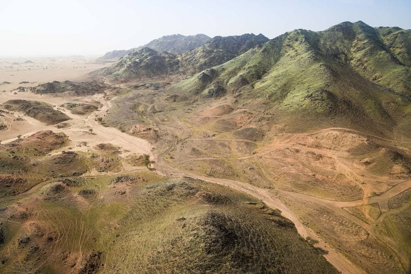 Motorsport. Dakar Rally. Stage 12. 16.01.2026