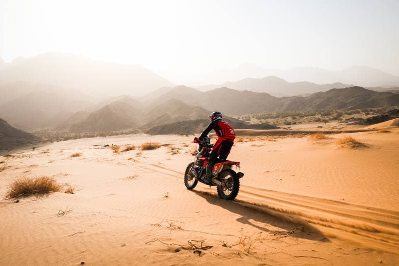 Motorsport. Dakar Rally. Stage 12. 16.01.2026