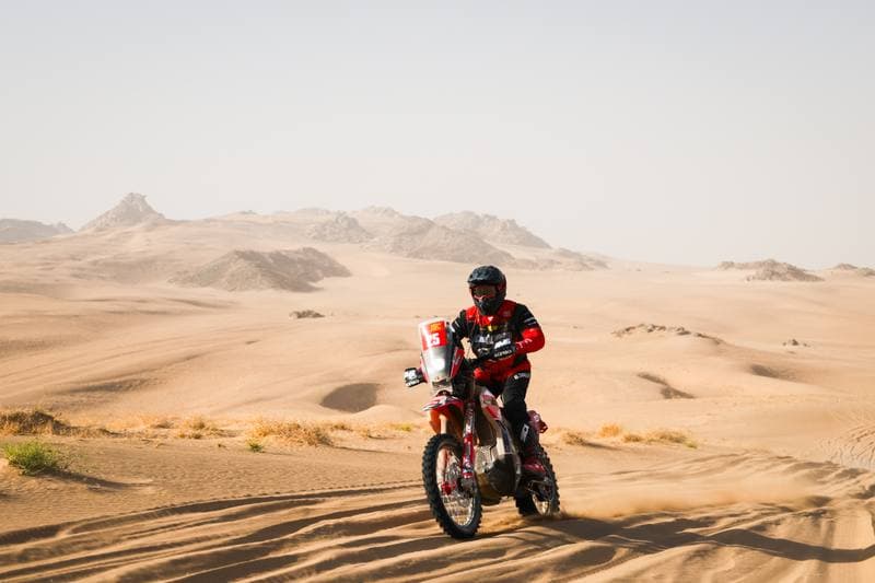 Motorsport. Dakar Rally. Stage 12. 16.01.2026