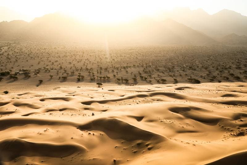 Motorsport. Dakar Rally. Stage 12. 16.01.2026
