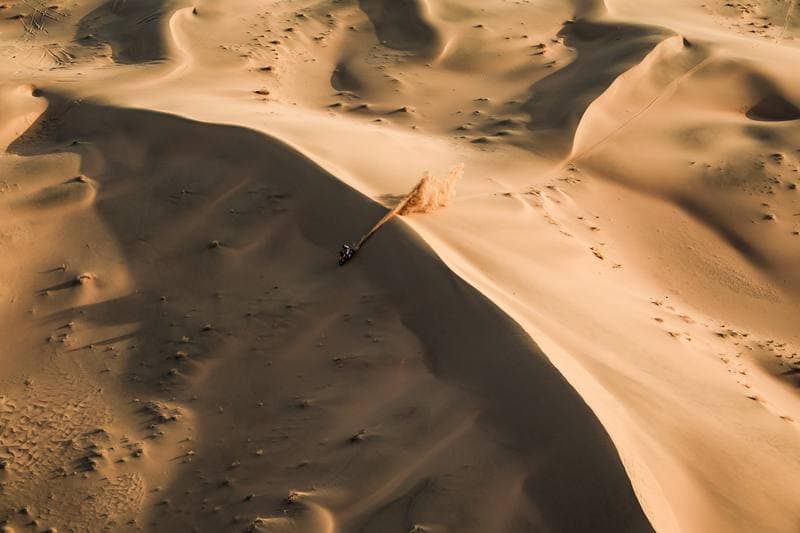 Motorsport. Dakar Rally. Stage 12. 16.01.2026