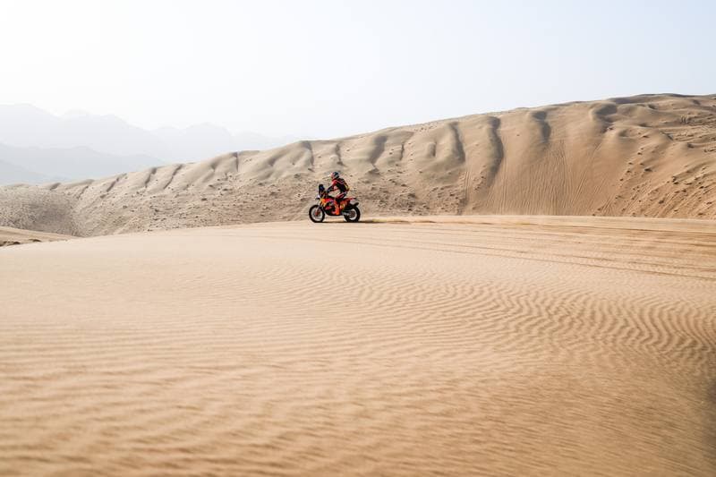 Motorsport. Dakar Rally. Stage 12. 16.01.2026