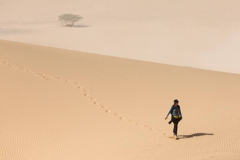 Motorsport. Dakar Rally. Stage 12. 16.01.2026