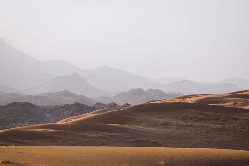 Motorsport. Dakar Rally. Stage 12. 16.01.2026