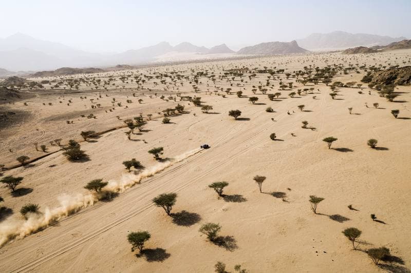 Motorsport. Dakar Rally. Stage 12. 16.01.2026