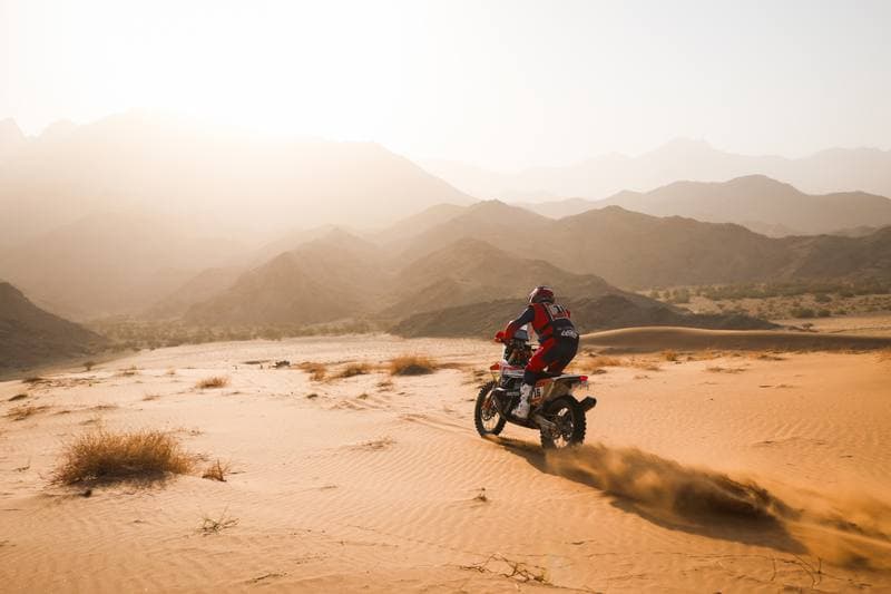 Motorsport. Dakar Rally. Stage 12. 16.01.2026