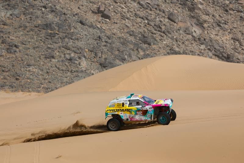 Motorsport. Dakar Rally. Stage 12. 16.01.2026
