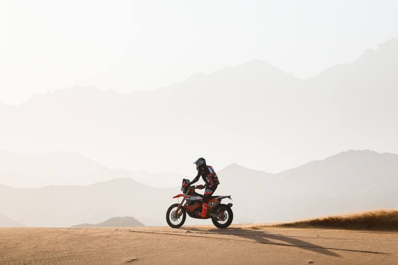 Motorsport. Dakar Rally. Stage 12. 16.01.2026