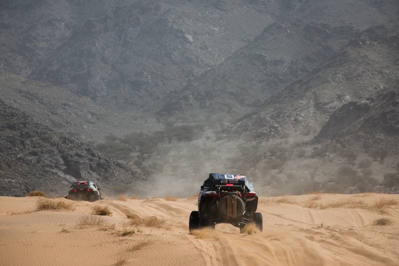 Motorsport. Dakar Rally. Stage 12. 16.01.2026