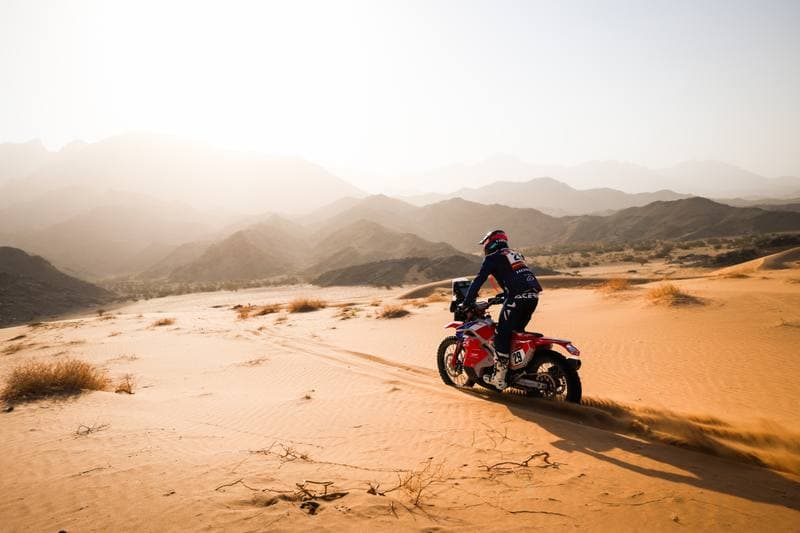 Motorsport. Dakar Rally. Stage 12. 16.01.2026
